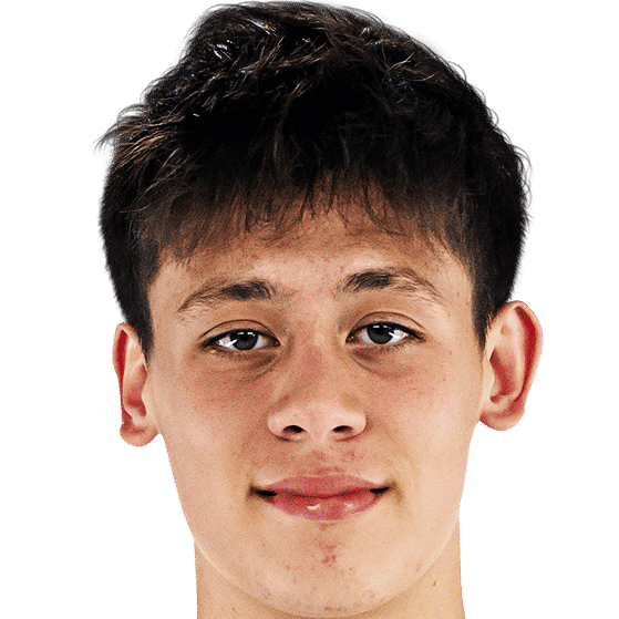 阿尔达·居莱尔