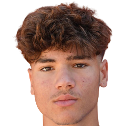 安东尼奥·维尔加拉