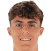 亚历杭德罗·弗朗西斯